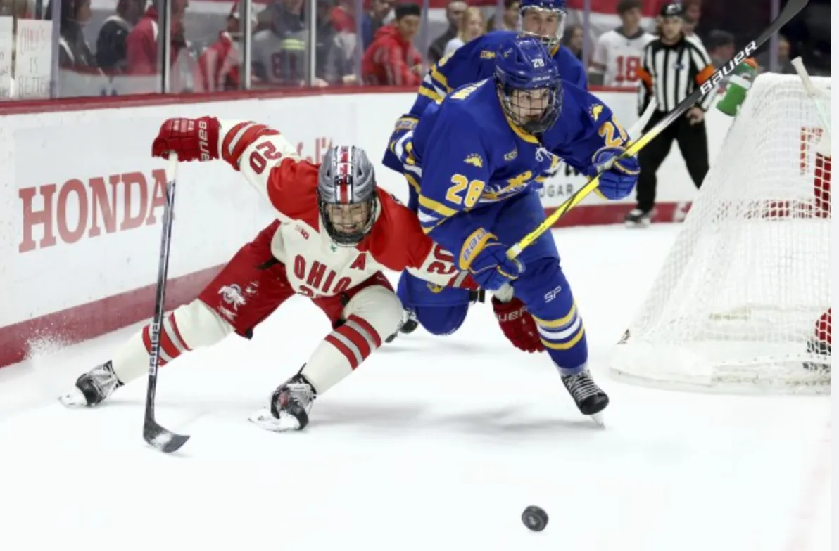 #2 YOUR DEVELOPMENT ROADMAP