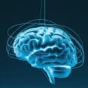 Mental Game
